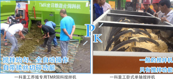 pk图片1 pk图片1