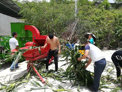 秸秆打包机客户现场 (4)